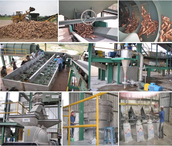 Nigeria%20Cassava%20Initiative
