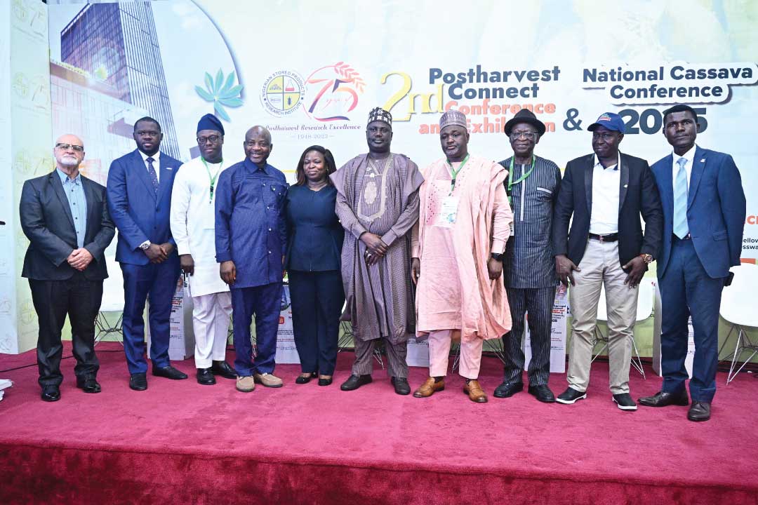 Nigeria%20Cassava%20Initiative